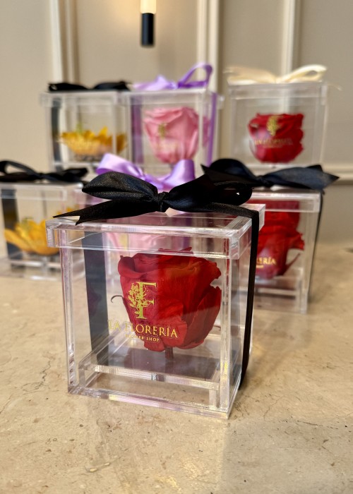Rosa Roja Eterna