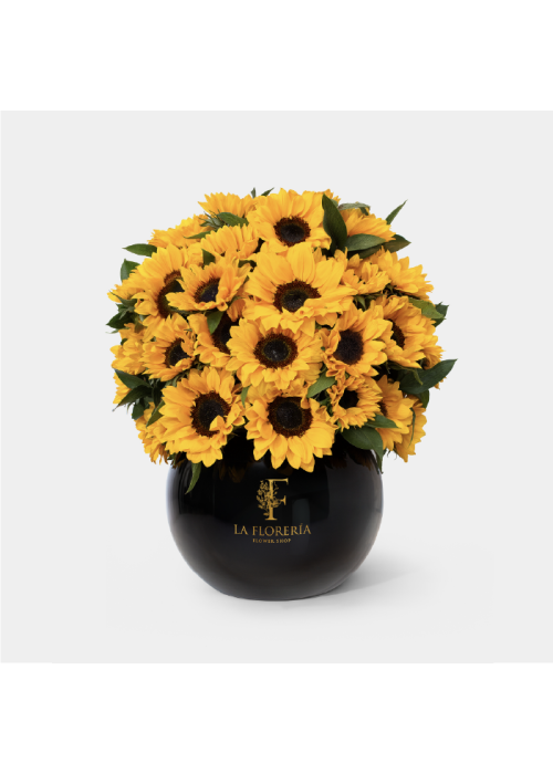 Black Sunflower