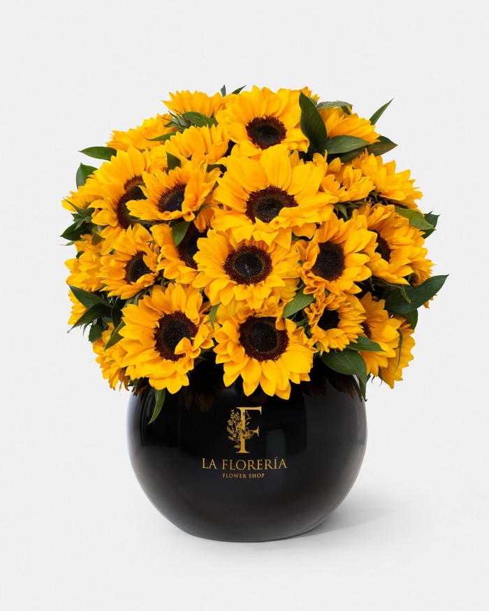 Ramo de Girasoles Black Sunflower