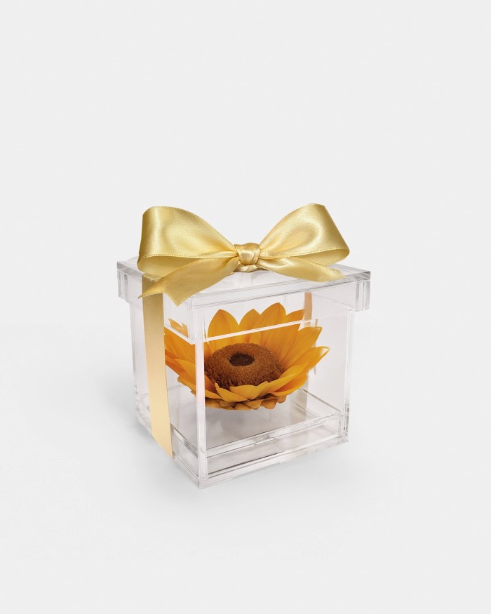 Girasol Eterno Preservado